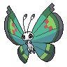 Shiny Vivillon (Garden)